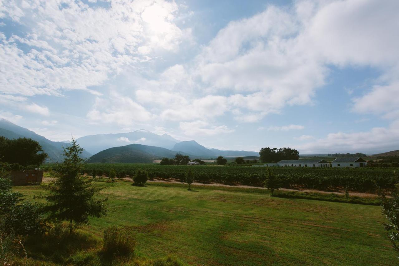 Leipzig Country House & Winery Nuy Ngoại thất bức ảnh