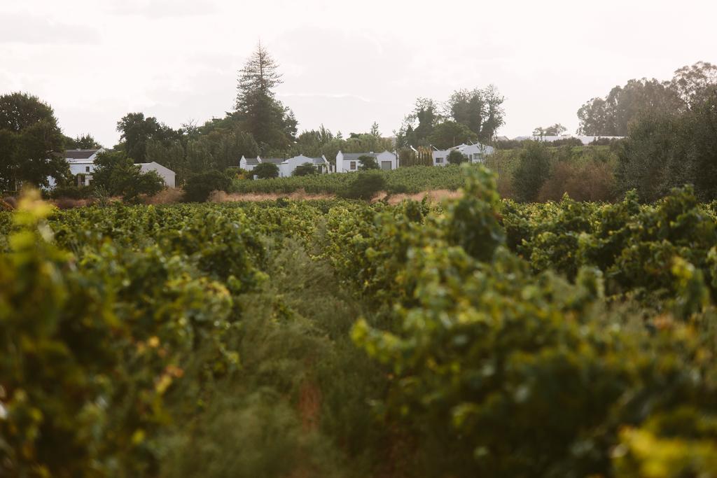 Leipzig Country House & Winery Nuy Ngoại thất bức ảnh